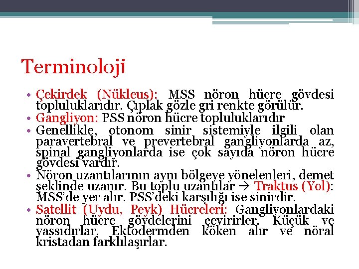 Terminoloji • Çekirdek (Nükleus): MSS nöron hücre gövdesi topluluklarıdır. Çıplak gözle gri renkte görülür. Terminoloji • Çekirdek (Nükleus): MSS nöron hücre gövdesi topluluklarıdır. Çıplak gözle gri renkte görülür.