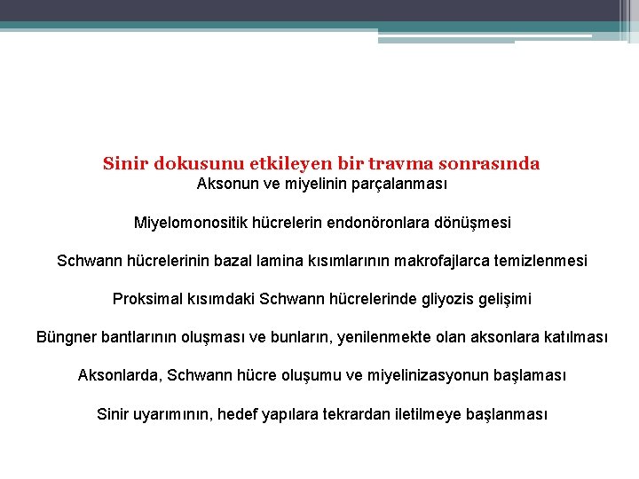 Sinir dokusunu etkileyen bir travma sonrasında Aksonun ve miyelinin parçalanması Miyelomonositik hücrelerin endonöronlara dönüşmesi Sinir dokusunu etkileyen bir travma sonrasında Aksonun ve miyelinin parçalanması Miyelomonositik hücrelerin endonöronlara dönüşmesi