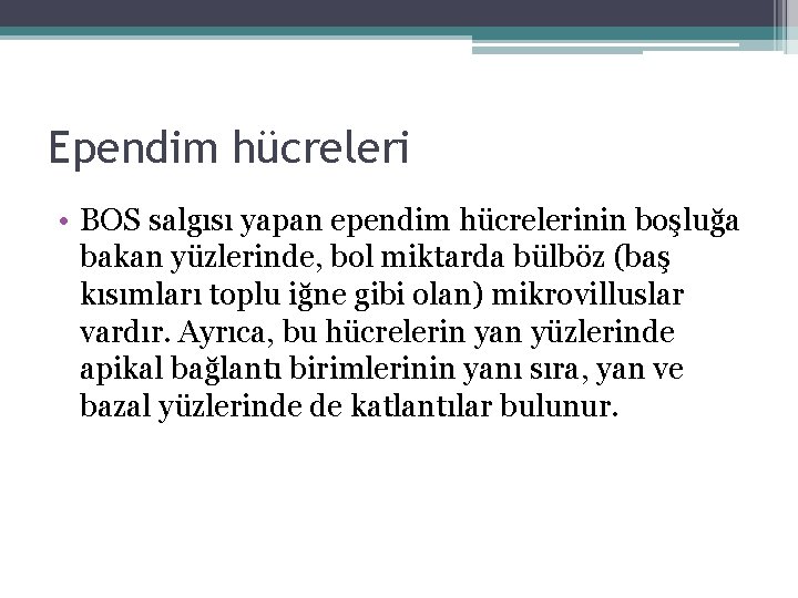 Ependim hücreleri • BOS salgısı yapan ependim hücrelerinin boşluğa bakan yüzlerinde, bol miktarda bülböz Ependim hücreleri • BOS salgısı yapan ependim hücrelerinin boşluğa bakan yüzlerinde, bol miktarda bülböz