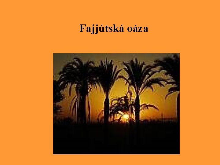 Fajjútská oáza 