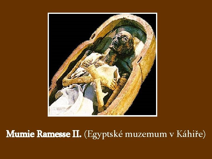 Mumie Ramesse II. (Egyptské muzemum v Káhiře) 