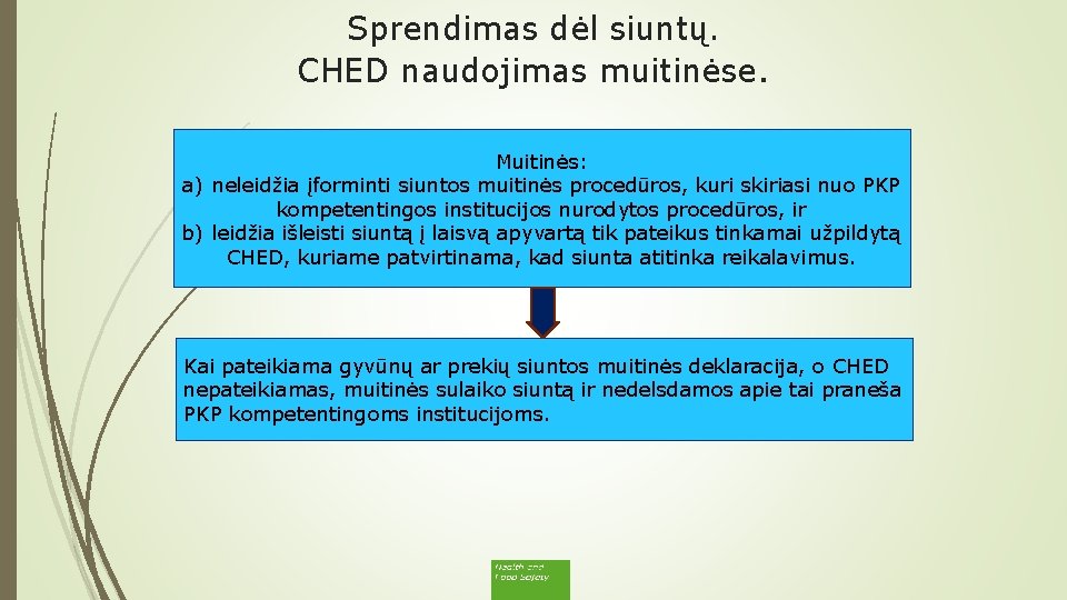 Sprendimas dėl siuntų. CHED naudojimas muitinėse. Muitinės: a) neleidžia įforminti siuntos muitinės procedūros, kuri