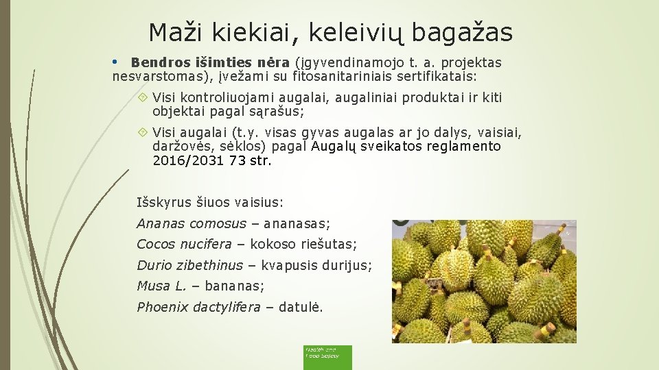 Maži kiekiai, keleivių bagažas • Bendros išimties nėra (įgyvendinamojo t. a. projektas nesvarstomas), įvežami