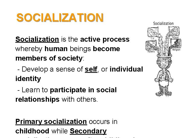 SOCIALIZATION • Socialization is the active process whereby human beings become members of society: