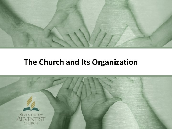 The Church and Its Organization 