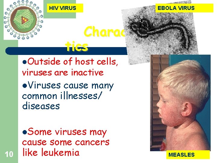 HIV VIRUS l. Outside EBOLA VIRUS Characteris tics of host cells, viruses are inactive