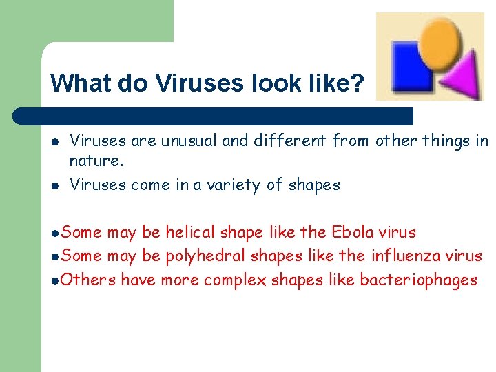 What do Viruses look like? l l Viruses are unusual and different from other