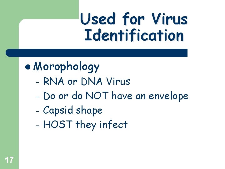 Used for Virus Identification l Morophology – – 17 RNA or DNA Virus Do