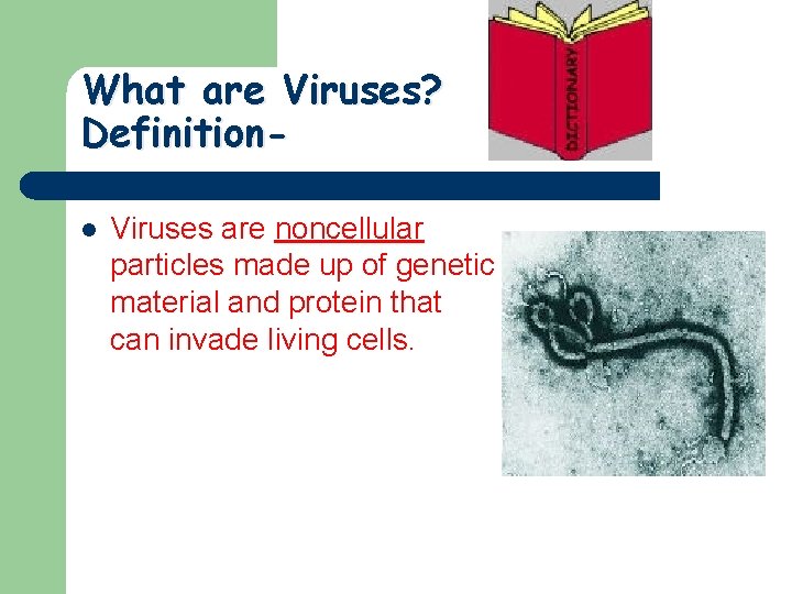 What are Viruses? Definitionl Viruses are noncellular particles made up of genetic material and