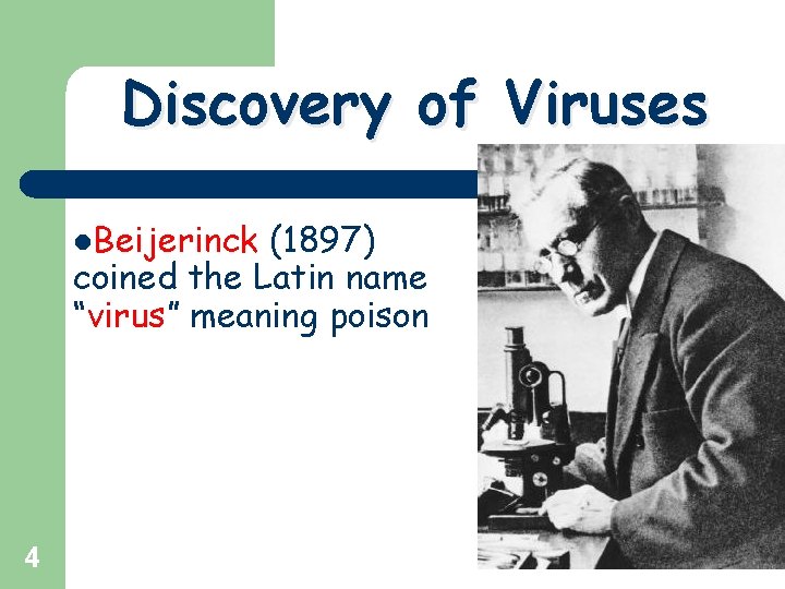 Discovery of Viruses l. Beijerinck (1897) coined the Latin name “virus” meaning poison 4