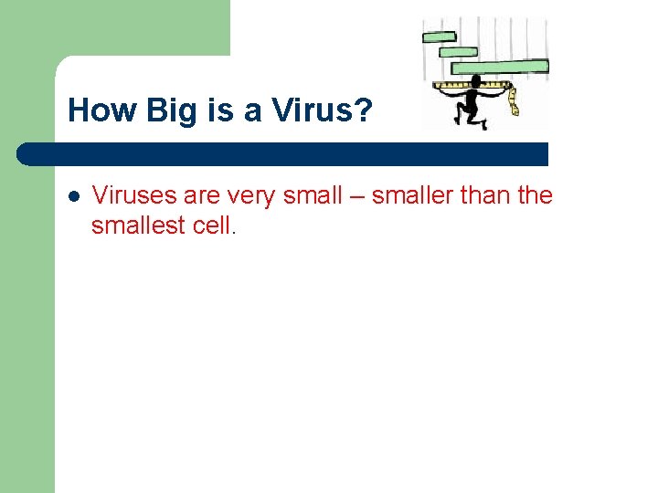 How Big is a Virus? l Viruses are very small – smaller than the