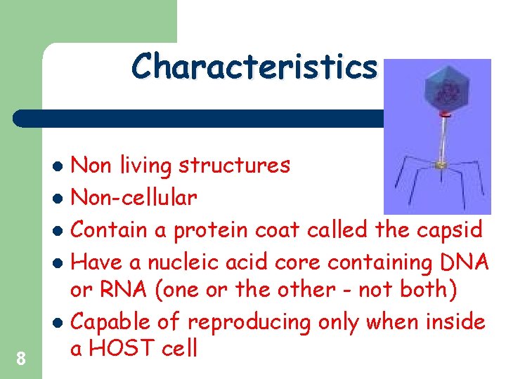 Characteristics Non living structures l Non-cellular l Contain a protein coat called the capsid