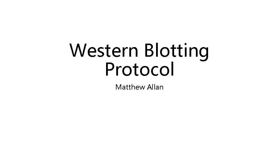 Western Blotting Protocol Matthew Allan 