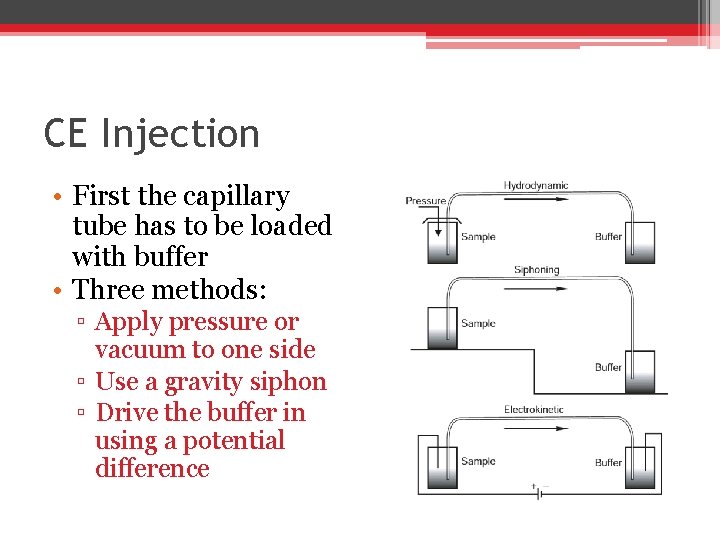 CE Injection • First the capillary tube has to be loaded with buffer • CE Injection • First the capillary tube has to be loaded with buffer •