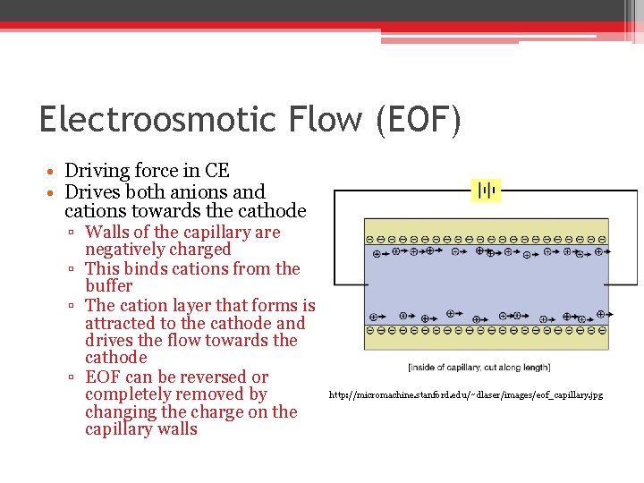 Electroosmotic Flow (EOF) • Driving force in CE • Drives both anions and cations Electroosmotic Flow (EOF) • Driving force in CE • Drives both anions and cations