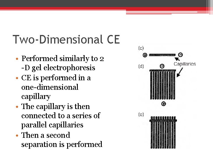 Two-Dimensional CE • Performed similarly to 2 -D gel electrophoresis • CE is performed Two-Dimensional CE • Performed similarly to 2 -D gel electrophoresis • CE is performed