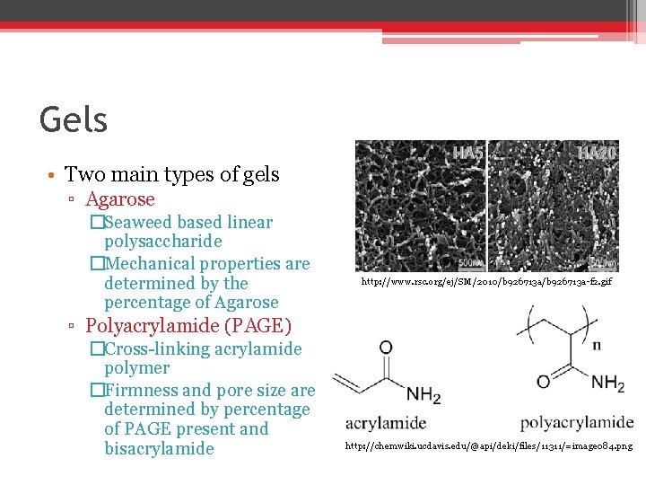 Gels • Two main types of gels ▫ Agarose �Seaweed based linear polysaccharide �Mechanical Gels • Two main types of gels ▫ Agarose �Seaweed based linear polysaccharide �Mechanical