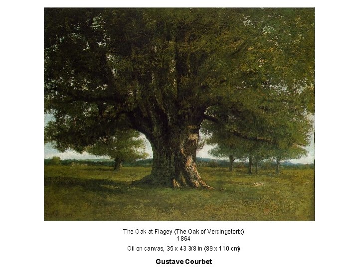 The Oak at Flagey (The Oak of Vercingetorix) 1864 Oil on canvas, 35 x