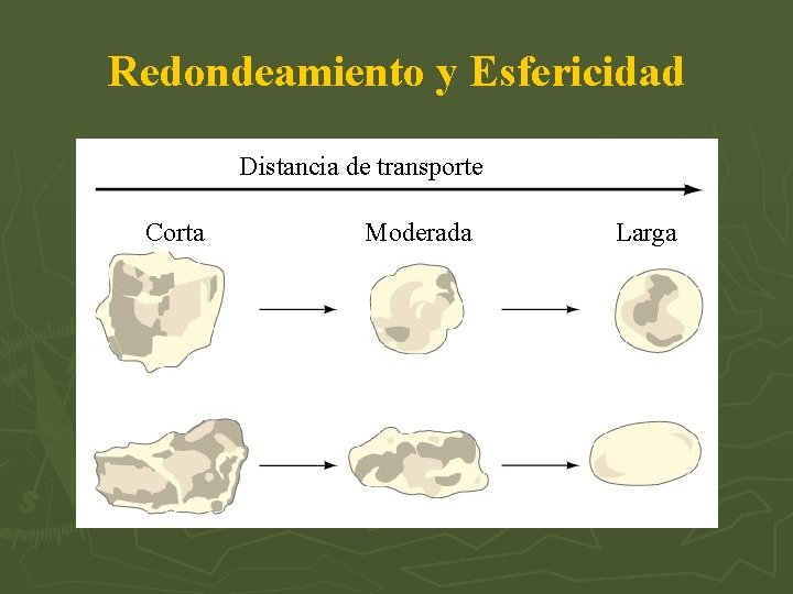 Redondeamiento y Esfericidad Distancia de transporte Corta Moderada Larga 