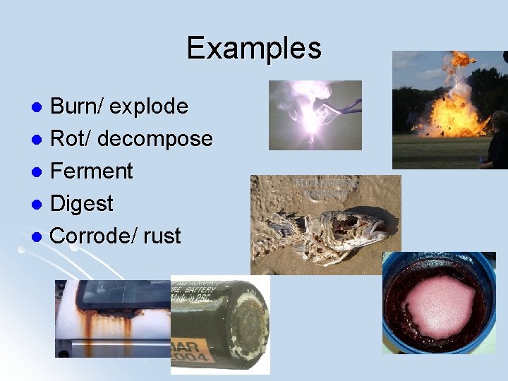 Decompose Rot Matter and Change Unit 1 Matter l l