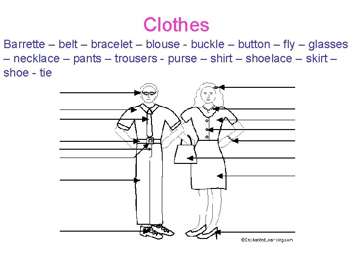 Clothes Barrette – belt – bracelet – blouse buckle – button – fly –