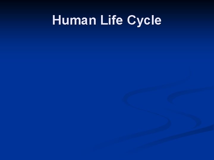 Human Life Cycle 