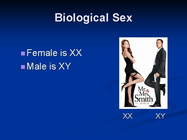 Biological Sex n Female is XX n Male is XY XX XY 
