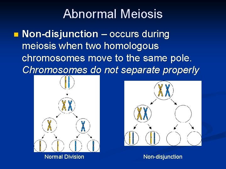 Abnormal Meiosis n Non-disjunction – occurs during meiosis when two homologous chromosomes move to