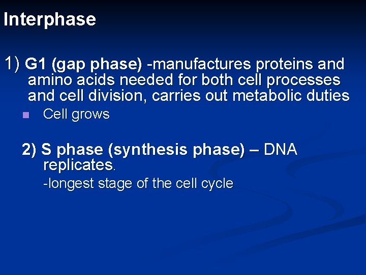 Interphase 1) G 1 (gap phase) -manufactures proteins and amino acids needed for both