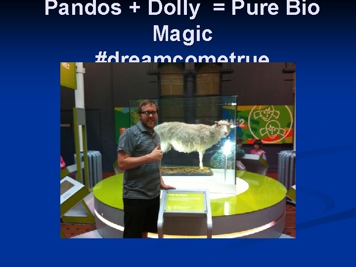 Pandos + Dolly = Pure Bio Magic #dreamcometrue 