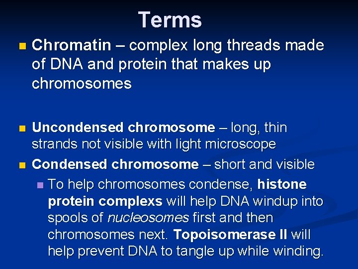 Terms n Chromatin – complex long threads made of DNA and protein that makes