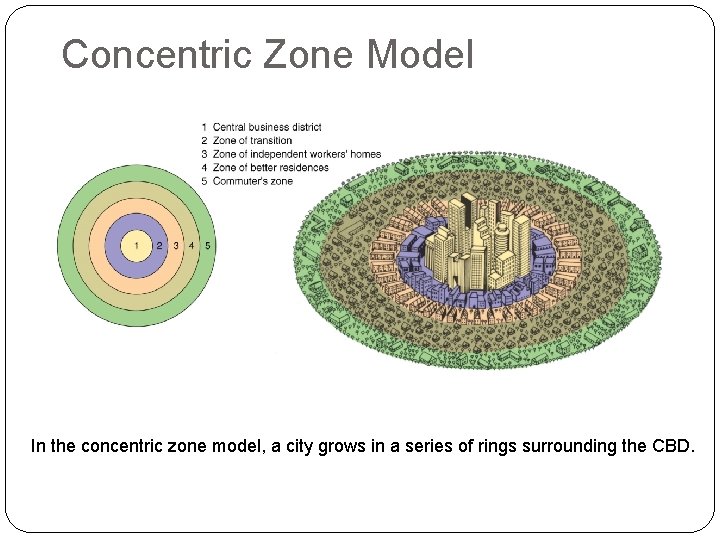 Concentric Zone Model In the concentric zone model, a city grows in a series