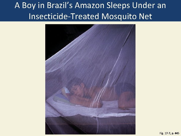 A Boy in Brazil’s Amazon Sleeps Under an Insecticide-Treated Mosquito Net Fig. 17 -7,