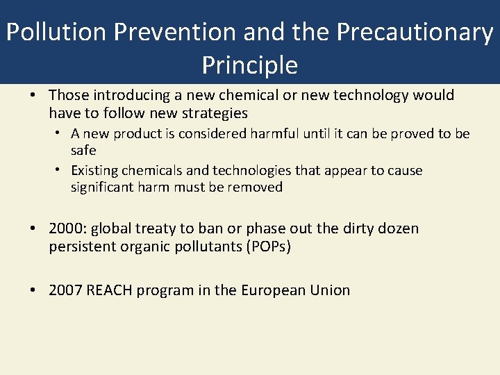 Pollution Prevention and the Precautionary Principle • Those introducing a new chemical or new
