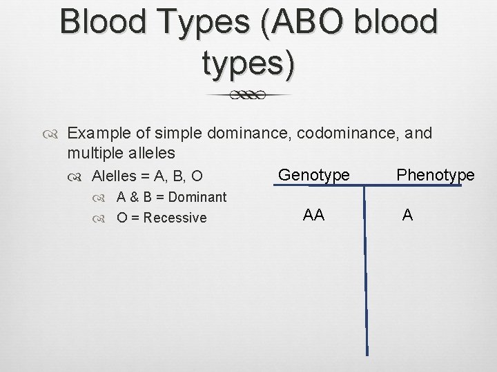 Blood Types (ABO blood types) Example of simple dominance, codominance, and multiple alleles Genotype