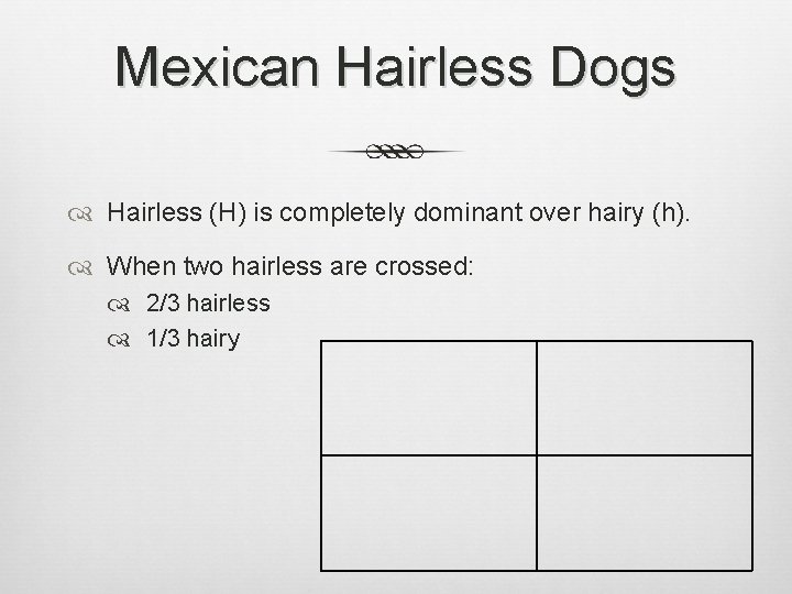 Mexican Hairless Dogs Hairless (H) is completely dominant over hairy (h). When two hairless