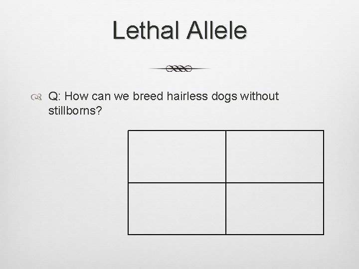 Lethal Allele Q: How can we breed hairless dogs without stillborns? 