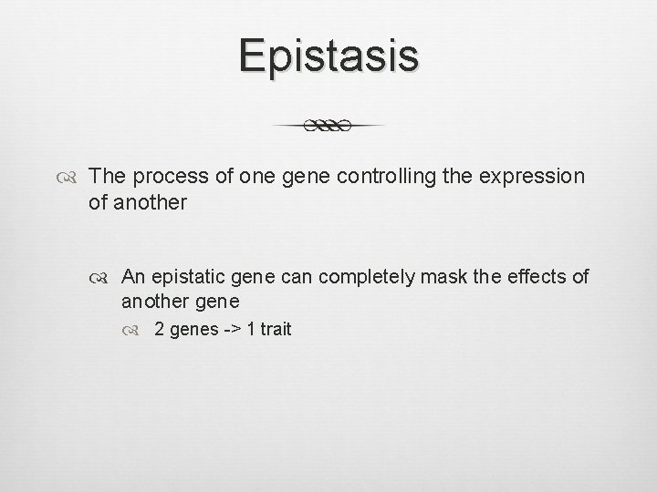 Epistasis The process of one gene controlling the expression of another An epistatic gene