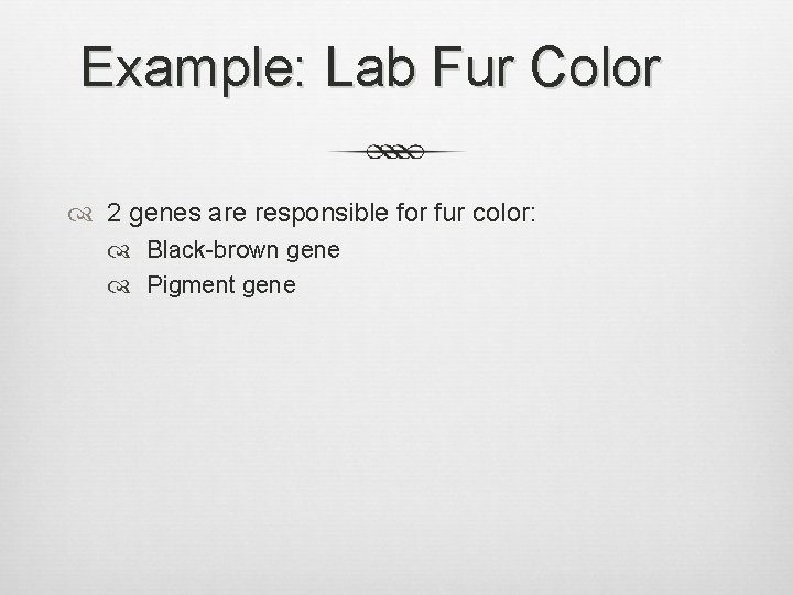 Example: Lab Fur Color 2 genes are responsible for fur color: Black-brown gene Pigment