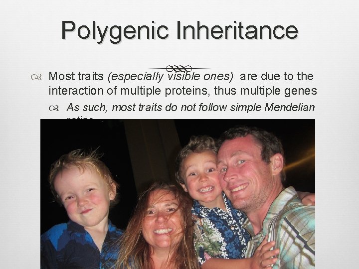 Polygenic Inheritance Most traits (especially visible ones) are due to the interaction of multiple