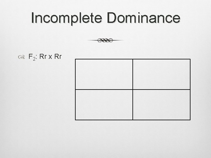 Incomplete Dominance F 2: Rr x Rr 