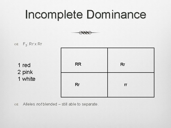 Incomplete Dominance F 2: Rr x Rr 1 red 2 pink 1 white RR