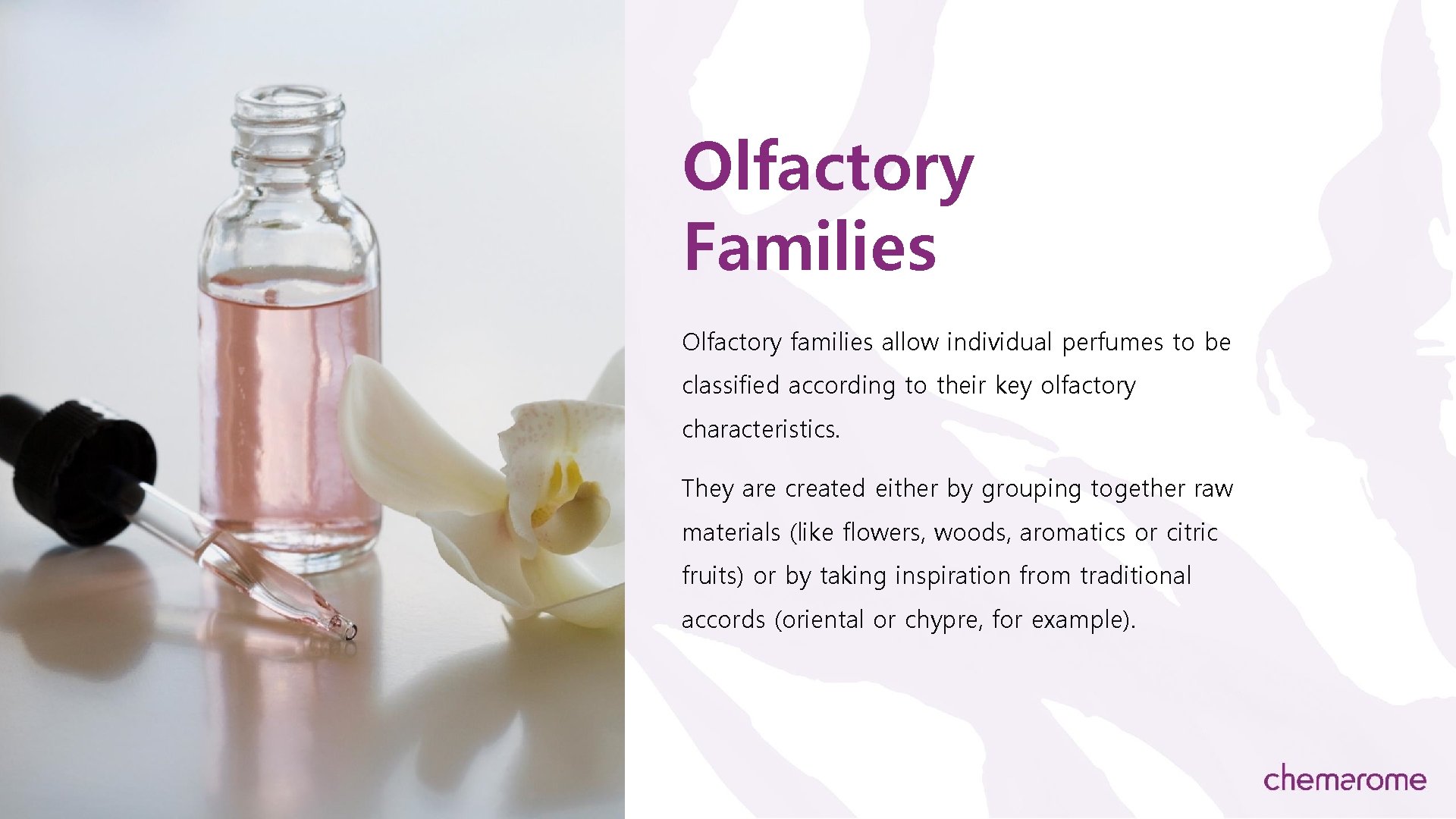 Olfactory Families Olfactory families allow individual perfumes to be classified according to their key