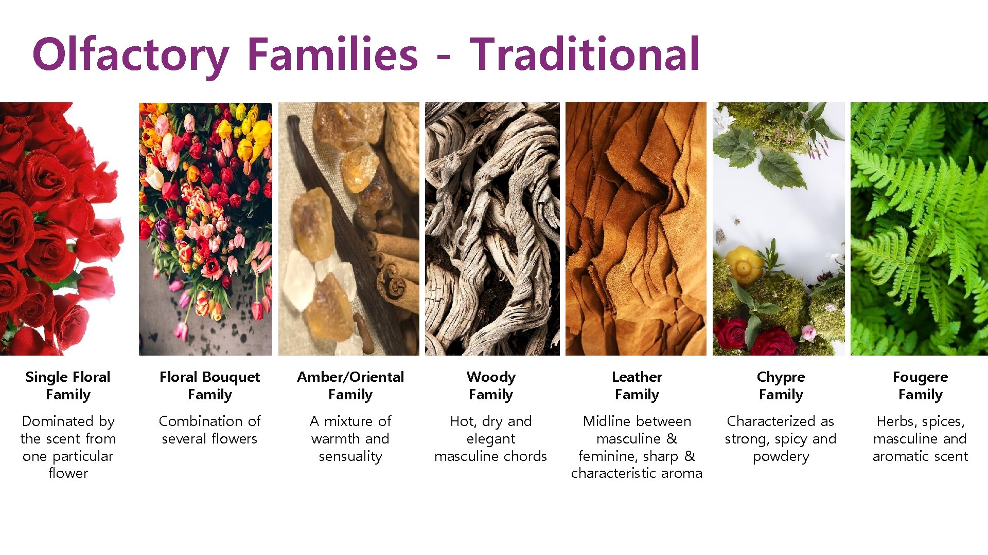 Olfactory Families - Traditional Single Floral Family Floral Bouquet Family Amber/Oriental Family Woody Family