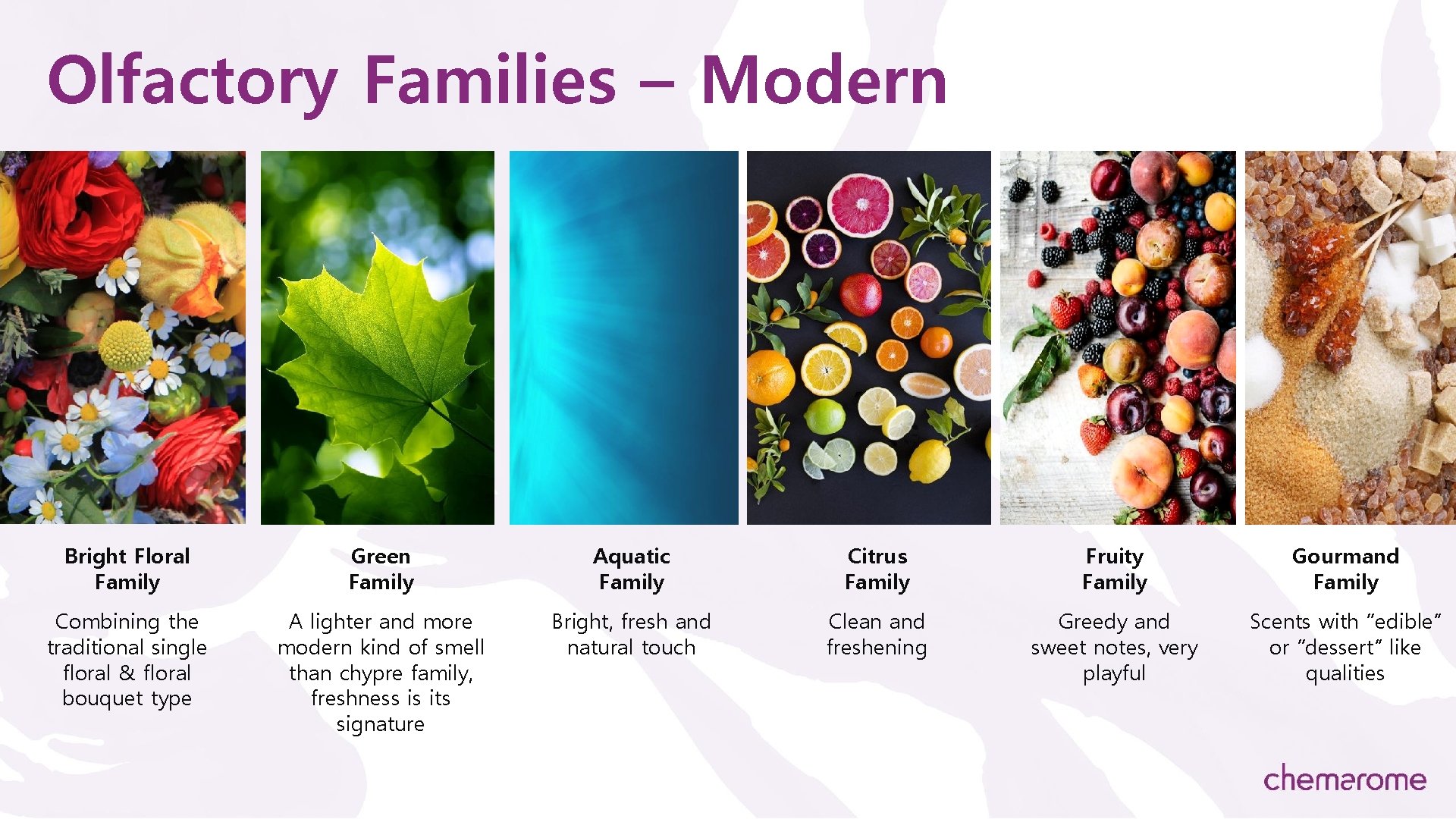 Olfactory Families – Modern Bright Floral Family Green Family Aquatic Family Citrus Family Fruity
