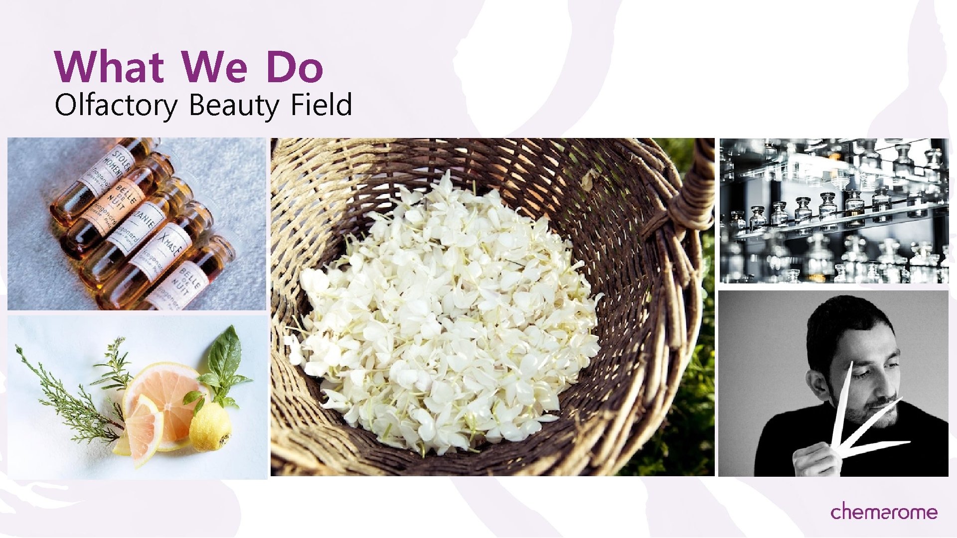 What We Do Olfactory Beauty Field 