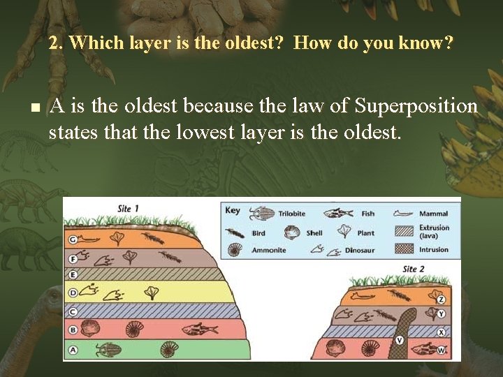 2. Which layer is the oldest? How do you know? n A is the