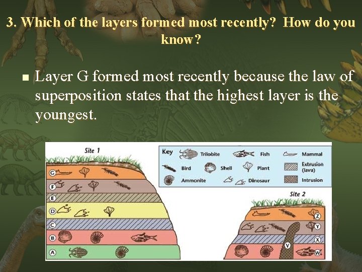 3. Which of the layers formed most recently? How do you know? n Layer