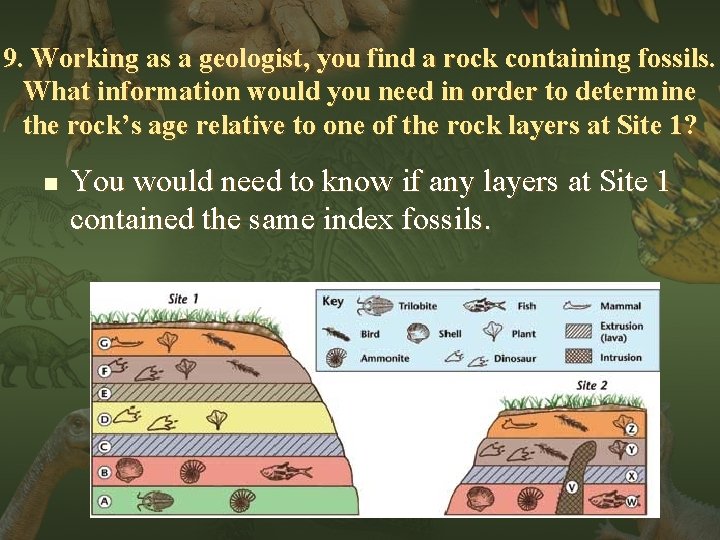 9. Working as a geologist, you find a rock containing fossils. What information would