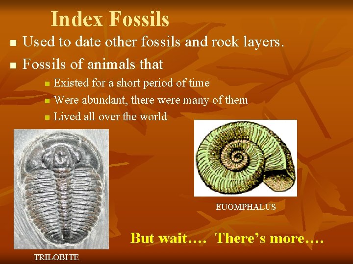 Index Fossils n n Used to date other fossils and rock layers. Fossils of